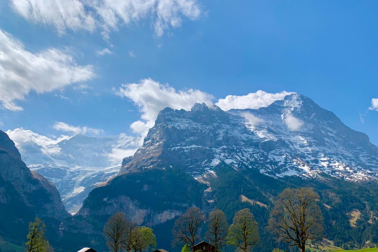 Eiger, Jungfrau, Luxury Garden Apartment Grindelwald Exteriér fotografie