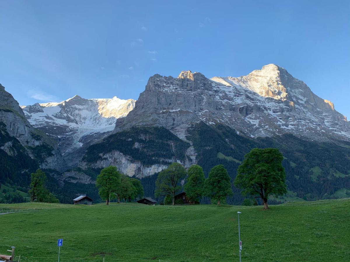 Eiger, Jungfrau, Luxury Garden Apartment Grindelwald Exteriér fotografie